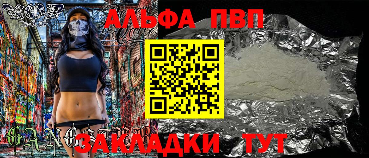 A PVP СК КРИС Коряжма