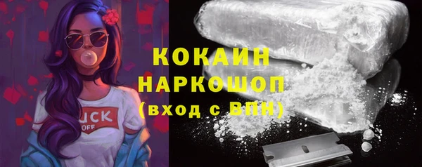 прущие грибы Нязепетровск