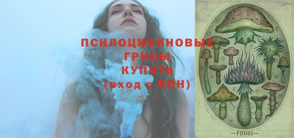 мяу мяу мука Новозыбков
