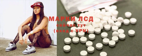 мяу мяу мука Новозыбков
