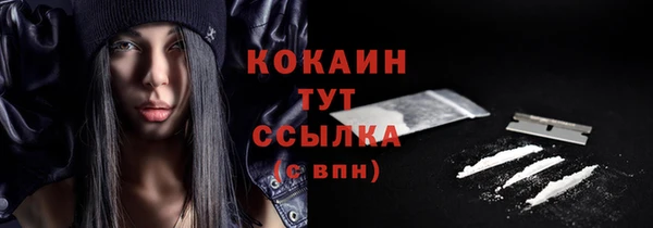 соль ск Новодвинск