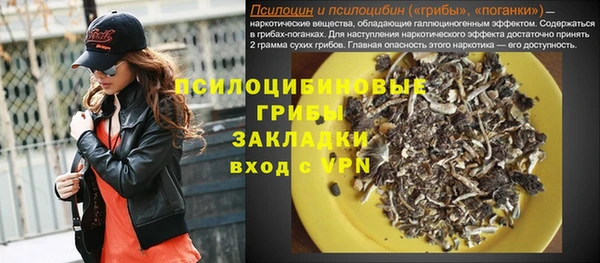 соль ск Новодвинск