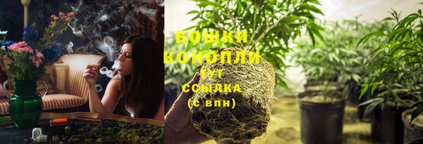 молекула духа Няндома