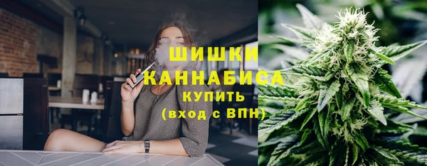 прущие грибы Нязепетровск