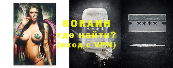 соль ск Новодвинск