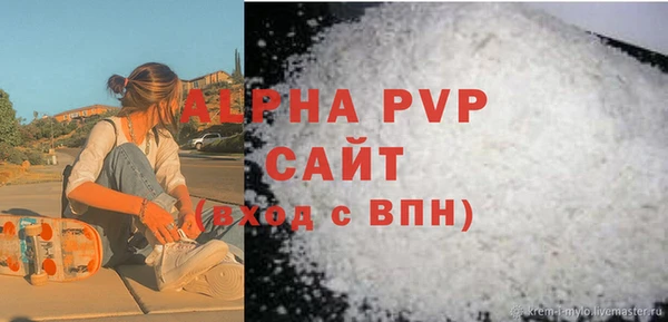 соль ск Новодвинск