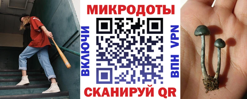 Псилоцибиновые грибы GOLDEN TEACHER  Коряжма 