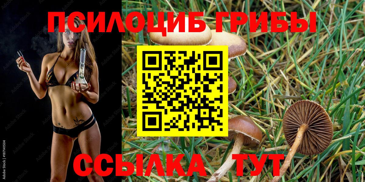 Псилоцибиновые грибы Cubensis  продажа наркотиков  Коряжма 