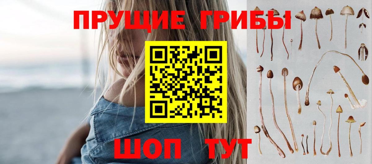 Псилоцибиновые грибы Cubensis  Вход с VPN  Псилоцибиновые грибы ЛСД  Коряжма 