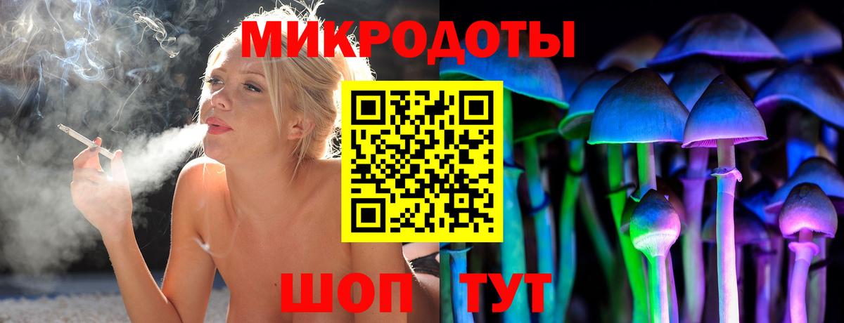 Псилоцибиновые грибы мицелий Коряжма