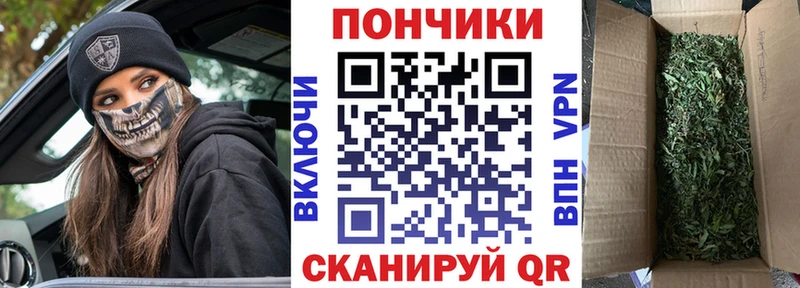 Канабис Bruce Banner Коряжма